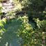  Land for sale in Tinum, Yucatan, Tinum