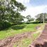  Land for sale in Cordoba, Monteria, Cordoba