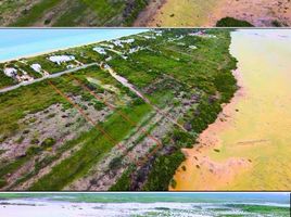  Grundstück zu verkaufen in Dzemul, Yucatan, Dzemul
