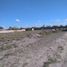  Land for sale in Ciudad Fernandez San Luis Potosi, Ciudad Fernandez