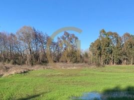  Land for sale in Biobío, Laja, Biobío, Biobío