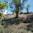 Terrain à vendre à Rionegro, Antioquia, Rionegro, Antioquia, Colombie