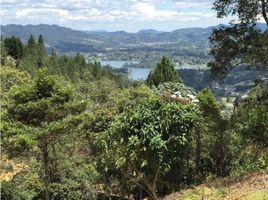  Terreno (Parcela) en venta en Guarne, Antioquia, Guarne