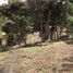  Land for sale in Guarne, Antioquia, Guarne