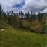 Studio Villa for sale in Sutatenza, Boyaca, Sutatenza, Boyaca