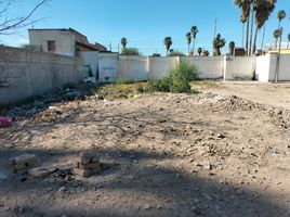  Terreno (Parcela) en venta en Torreon, Coahuila, Torreon