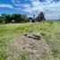  Terreno (Parcela) en venta en Medellin, Veracruz, Medellin, Veracruz