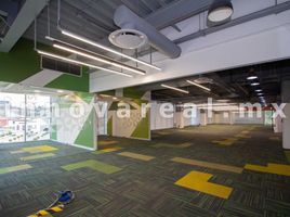 736 SqM Office for rent in Mexico, Nicolas Romero, Mexico, Mexico