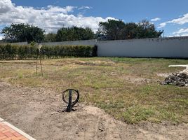  Land for sale in Ecuador, Tumbaco, Quito, Pichincha, Ecuador