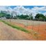  Land for sale in El Roble, Cocle, El Roble, Aguadulce