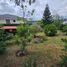  Terreno (Parcela) en venta en Cumbaya, Pichincha, Cumbaya