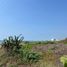  Land for sale in Armeria, Colima, Armeria