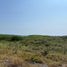  Land for sale in Armeria, Colima, Armeria