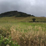 Terrain à vendre à La Calera, Cundinamarca, La Calera