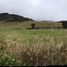 Terrain à vendre à La Calera, Cundinamarca, La Calera