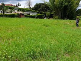  Terreno (Parcela) en venta en Ulloa, Valle Del Cauca, Ulloa