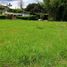  Land for sale in Ulloa, Valle Del Cauca, Ulloa