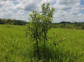  Terreno (Parcela) en venta en Ulloa, Valle Del Cauca, Ulloa