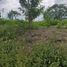  Land for sale in Valle Del Cauca, Ulloa, Valle Del Cauca