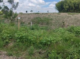  Terreno (Parcela) en venta en Ulloa, Valle Del Cauca, Ulloa