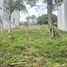  Land for sale in Dosquebradas, Risaralda, Dosquebradas