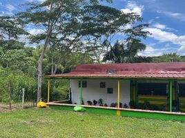 2 Habitación Casa en venta en Pereira, Risaralda, Pereira