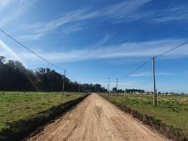  Land for sale in La Plata, Buenos Aires, La Plata