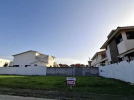  Grundstück zu verkaufen in Boca Del Rio, Veracruz, Boca Del Rio, Veracruz