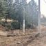  Land for sale in Huiliches, Neuquen, Huiliches