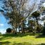  Land for sale in Buenos Aires, General Pueyrredon, Buenos Aires