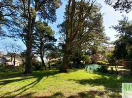  Land for sale in General Pueyrredon, Buenos Aires, General Pueyrredon