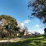  Land for sale in Buenos Aires, General Pueyrredon, Buenos Aires