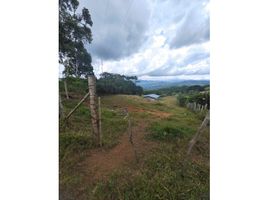  Land for sale in La Cumbre, Valle Del Cauca, La Cumbre