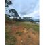  Land for sale in La Cumbre, Valle Del Cauca, La Cumbre