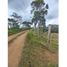  Land for sale in La Cumbre, Valle Del Cauca, La Cumbre