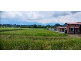  Land for sale in Guarne, Antioquia, Guarne