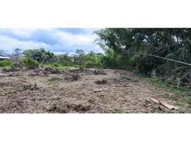  Land for sale in Valle Del Cauca, La Cumbre, Valle Del Cauca