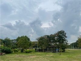  Terreno (Parcela) en venta en Palmira, Valle Del Cauca, Palmira