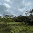  Land for sale in Cali, Valle Del Cauca, Cali