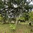  Land for sale in Valle Del Cauca, Cali, Valle Del Cauca