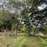  Land for sale in Valle Del Cauca, Cali, Valle Del Cauca