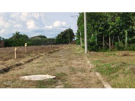  Land for sale in Palmira, Valle Del Cauca, Palmira