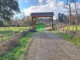  Terreno (Parcela) en venta en Purranque, Osorno, Purranque