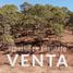  Land for sale in Badiraguato, Sinaloa, Badiraguato