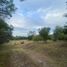  Land for sale in Juarez, Nuevo Leon, Juarez