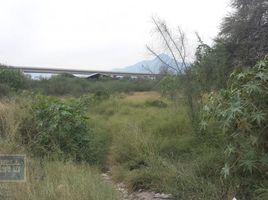  Grundstück zu vermieten in Monterrey, Nuevo Leon, Monterrey