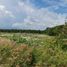  Terreno (Parcela) en venta en Cozumel, Quintana Roo, Cozumel