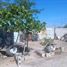 Terrain à vendre à Torreon, Coahuila, Torreon