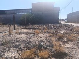 Terrain à vendre à Torreon, Coahuila, Torreon, Coahuila