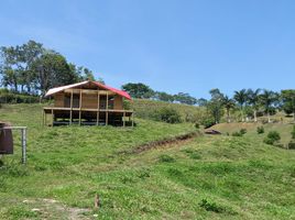  Terreno (Parcela) en venta en Caldas, Palestina, Caldas